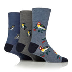 Charger l'image dans la galerie, Lot de 3 paires de chaussettes en coton RHS pour homme – Insectes