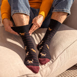 Charger l&#39;image dans la galerie, Lot de 3 paires de chaussettes amusantes en coton pour homme - Team Dog
