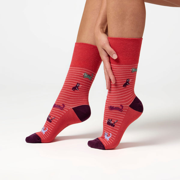 3 Pairs Ladies Fun Feet Cotton Socks - I'm a Cat Person