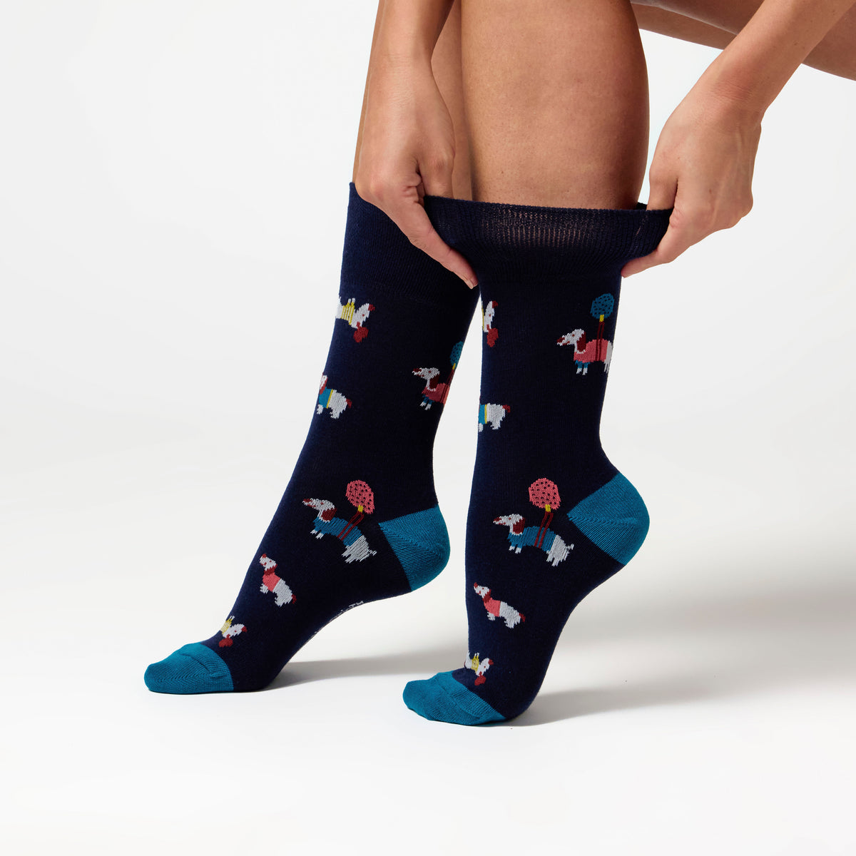 Lot de 3 paires de chaussettes amusantes en coton pour femme - Je suis une personne canine
