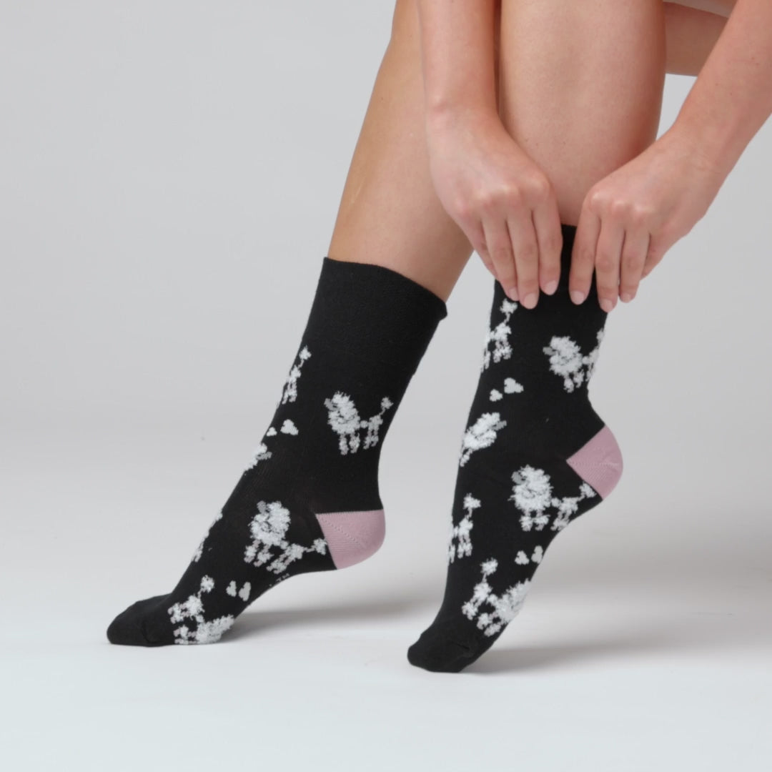 3 Pairs Ladies Fun Feet Cotton Socks - Posh Poodle
